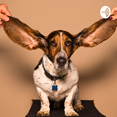 THE ALL EARS PODCAST